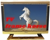 TV frame horse