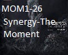 Synergy-The Moment