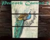 [M] Peacock Canvas 2