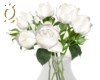 Q. Angel White Roses