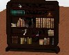 [IRI] Bookshelf cat