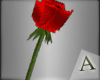[ABO]Love Rose Muah