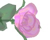 Pink Blush Glass Rose