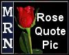 (MR) Rose Quote Pic