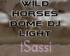 Wild Horse Dome DJ Light