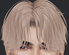 五 Vincent. Blonde