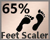 Feet Scale 65% F