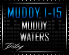 {D Muddy Waters