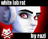 White Lab Rat