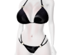 Summer Bikini