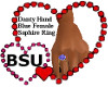 BSU F Rte Saphire Ring.