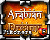 Arabian Dreams Show -B-