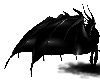 Black dragon wings