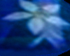 Blue Flower Pedi