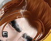 育 Felix Ginger