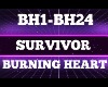 RM Burning Heart Survior