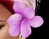 Purple Hair Flower