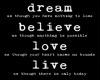 DREAM BELIEVE LOVE LIVE 