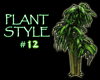 (IKY2) PLANT STYLE #12