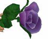 [MZ] Purple Rose W/Silv