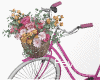 Pink Flower Bicycle