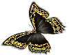 m28 papillon Black/Gold