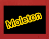 Moleton LGBT  Just Love