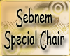 Sbnm Special Chair