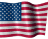 USA Flag Waving (large)