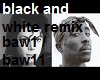 Black and White Remix