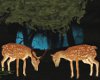 Animated Deer Pair