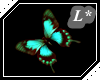 L* Littl*Butterfly*