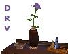 Sngle Purple Rose W/Vase