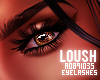  . Loush Lashes 01