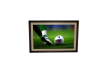 soccer picture