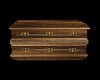 Unholy Coffin *Reflectiv