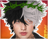 Z | Green Thorn Crown