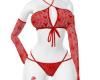 Red  Liz  Set