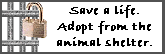 Adopt