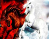Red&White Horses 