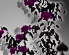 Cat~ Purple Roses Fence