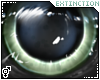 #echo: eyes 2