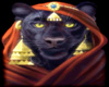 egyptian pharoah cat