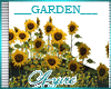 *A*Farm Sunflower Field
