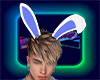 Bunny Blue Ears