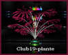 Club19-plante