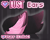 *W* LUST Ears3