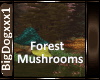 [BD]Forest Mushrooms