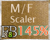 /F8B8 Scaler 145%(M/F