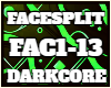 ~FaceSplit
